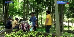 Preman Pensiun 7 Ep 19