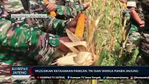 Wujudkan Ketahanan Pangan, TNI dan Warga Panen Jagung
