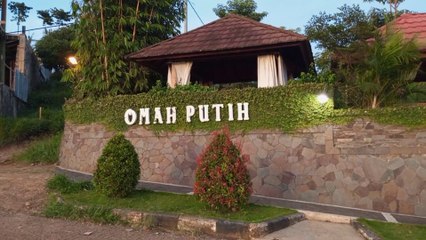 cinematic nature amazing