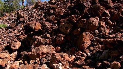 Water Life - Fleeting Water