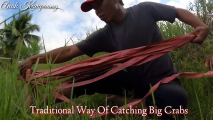 This Way Of Catching Big Crab Is Amazing