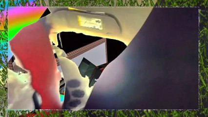 Cleaning cat box l going to dentist l entering store l Powerdirector.compressed