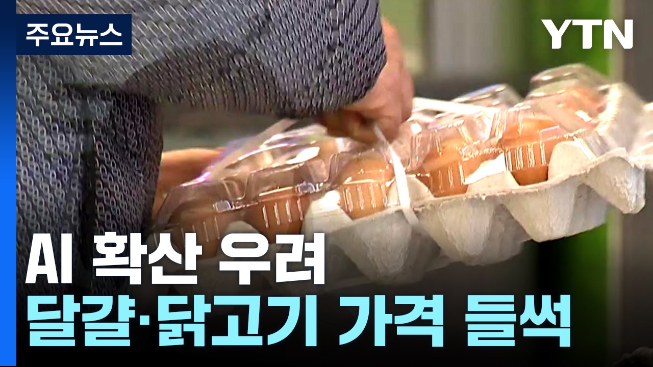 AI 확산에 달걀·닭고기 가격 들썩..."수급 안정적" / YTN