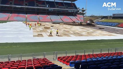 Dirt - McDonald Jones Stadium - November