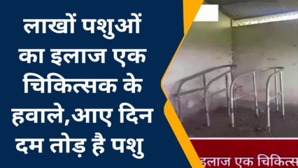 अररिया: एक डॉक्टर के भरोसे चल रहा है पशु चिकित्सालय, सुविधाओं का भी घोर अभाव
