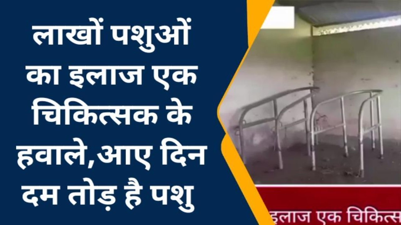 अररिया: एक डॉक्टर के भरोसे चल रहा है पशु चिकित्सालय, सुविधाओं का भी घोर अभाव