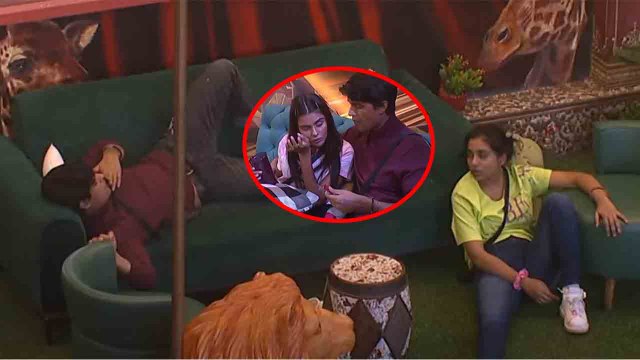 Bigg Boss 16 ; Priyanka के लिए Sumbul से क्या जबरदस्त बोले Ankit ? PriyAnkit Bond |*TV