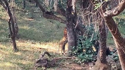 बेटी ने बनाई नूरी से दूरी, अब जोन एक में बिखेरेगी चमक