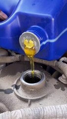 very very funny video ,full funny video ,Dailymotion funny video