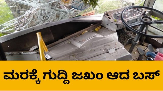 ಚಾಲಕನ ನಿಯಂತ್ರಣ ತಪ್ಪಿ ಮರಕ್ಕೆ ಡಿಕ್ಕಿ ಹೊಡೆದ ಬಸ್