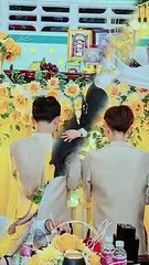 Cặp đôi LGBT yêu 7 năm mới làm đám cưới
