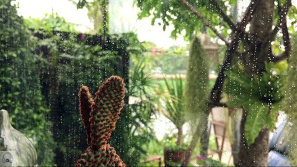 Kumpulan Lagu Akustik Populer 2022