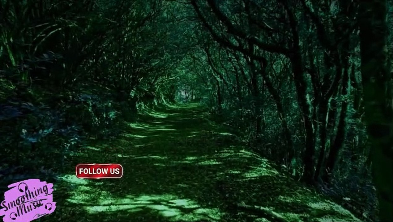 4 Minute Timer with Relaxing Upbeat Music and Alarm! Countdown Clock for Kids, Stress Relief, Fun!