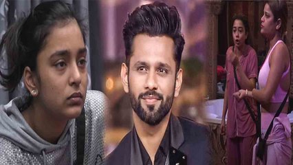 Bigg Boss 16: Sumbul पर Rahul Vaidya को आई दया, बोले- Evil Sharks के बीच फंस गई बच्ची! FilmiBeat