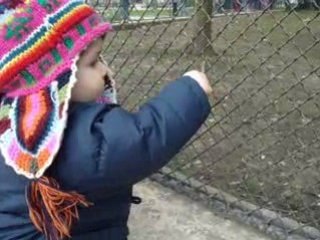 mini video jardin d'acclimatation