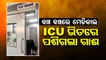 Special Story | Cow wanders into ICU ward of hospital, video goes viral