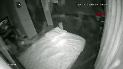 Deprem anı bir evin güvenlik kamerasında; dolabın kapakları düştü