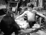 Тарзан и тайна пустыни -1943 Tarzan's Desert Mystery