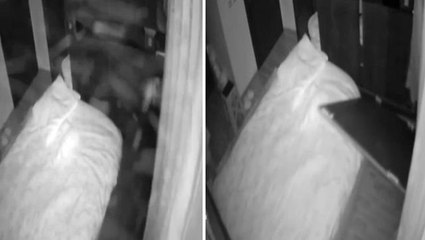 Yatak odasında kaydedildi! Düzce'deki depremin şiddetini en iyi anlatan videolardan biri de bu