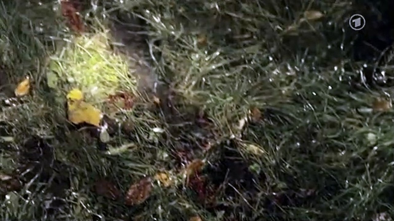 Polizeiruf 110 Staffel 39 Folge 3 - Part 02 HD Deutsch