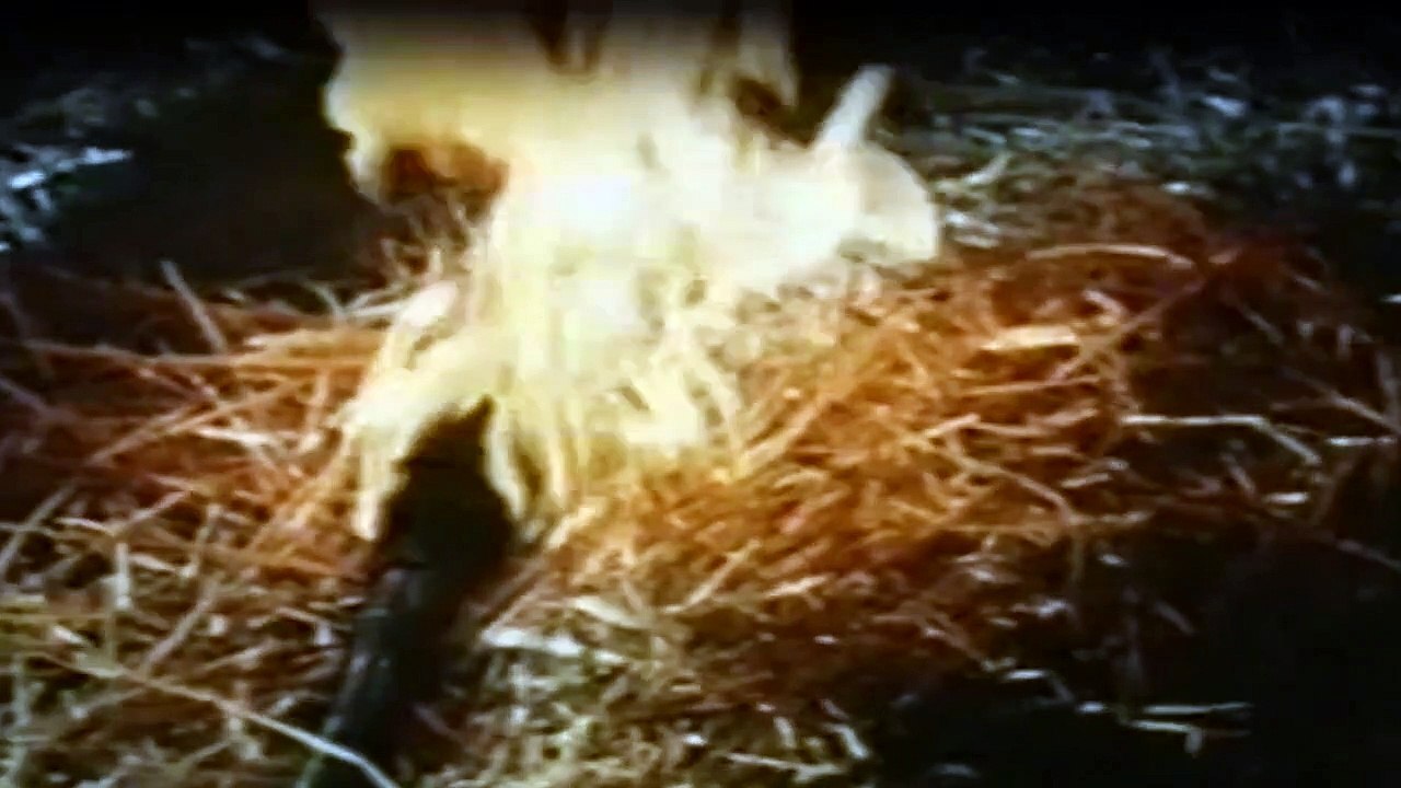 Die Leuteder Shiloh Ranch Staffel 6 Folge 17 - Part 02 HD Deutsch