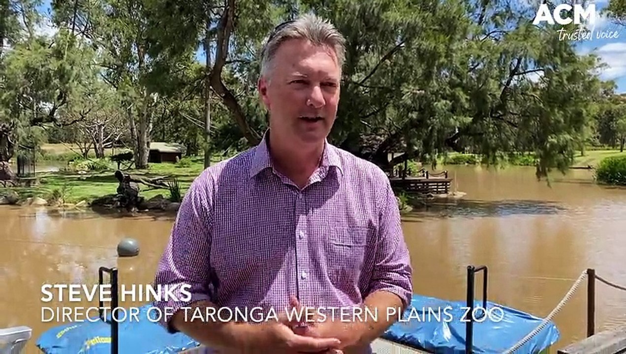 New Peddle Boats at Taronga Western Plains Zoo Dubbo