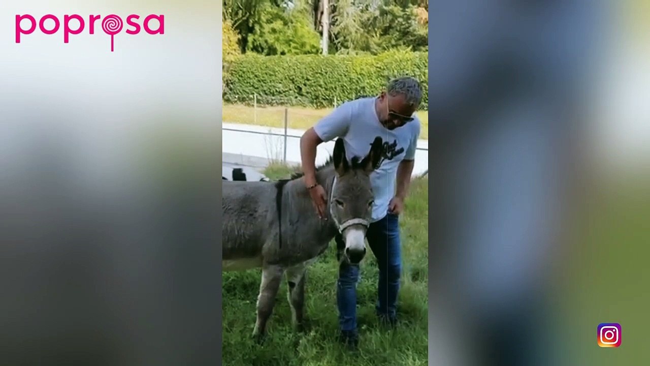 Jorge Javier Vázquez presume orgulloso de burro en su mansión