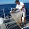 Éric Dupont sillonne la Méditerranée avec son bateau aspirateur de plastique