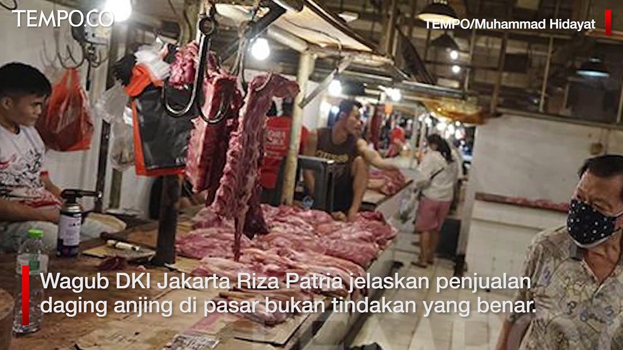 Wagub DKI Sebut Daging Anjing Bukan untuk Diperjualbelikan di Pasar