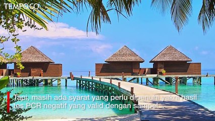 Daftar Negara yang Tak Lagi Syaratkan Karantina bagi Turis Asing