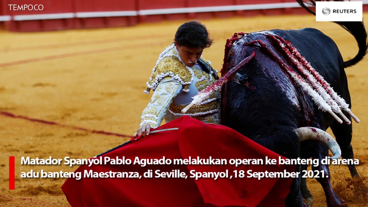 Seville Gelar Adu Banteng Pertamanya Sejak Pandemi COVID-19