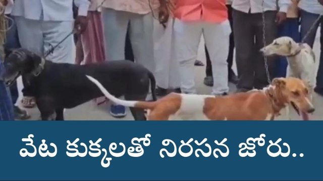 నారాయణపేట: ఒట్టు.. ఇలాంటి నిరసనలు మీరు చూసి ఉండరు..!