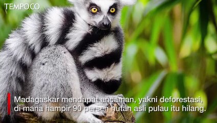 Deretan Tempat Luar Biasa yang Harus Dikunjungi Sebelum Hilang dari Muka Bumi