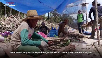 Main-main Lumbung Pangan | Opini Tempo