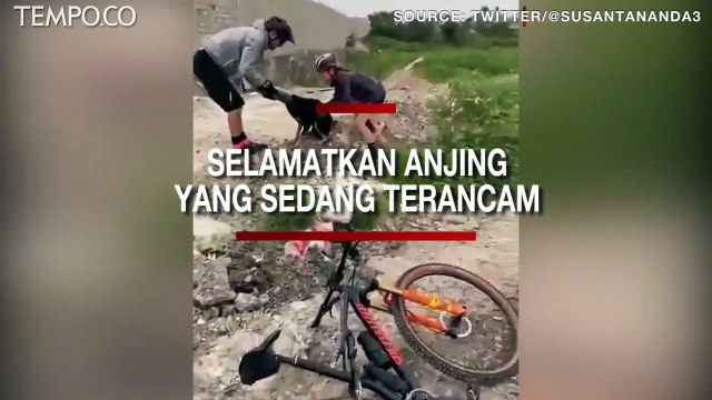 Aksi Heroik, Bertaruh Nyawa demi Selamatkan Anjing yang Nyaris Tertabrak Kereta