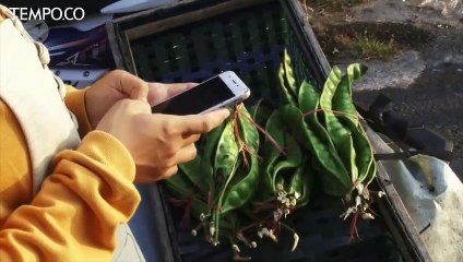 Tips Amankan Data Pribadi dari Jeratan Pinjol Ilegal