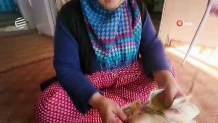 Ahırda sakladığı eski paraları 36 yıl sonra buldu