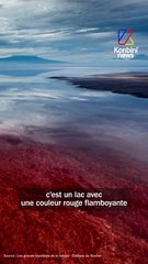 Un lac qui pétrifie les animaux.