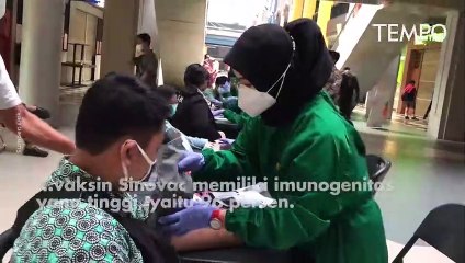 Vaksin Sinovac Bisa untuk Anak Usia 6-11 Tahun