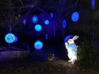 A trip down the rabbit hole at Rufford Abbey