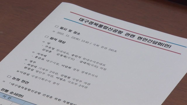 [대구] 당정, 대구경북통합신공항 특별법 연내 통과 합의 / YTN