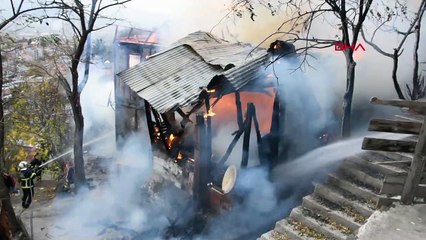2 katlı ev küle döndü: Yavru köpekleri itfaiye kurtardı