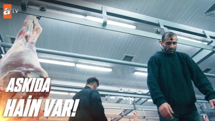 Cezayir'in ekibinden büyük temizlik! - Ben Bu Cihana Sığmazam 10. Bölüm