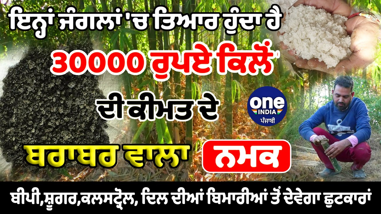 ਜੰਗਲਾਂ 'ਚ ਬਣਨ ਵਾਲਾ 30000 ਰੁਪਏ ਕੀਮਤ ਦੇ ਬਰਾਬਰ ਵਾਲਾ ਨਮਕ ਦਿਲ ਦੀਆਂ ਬਿਮਾਰੀਆਂ 'ਚ ਲਾਹੇਵੰਦ | OneIndia Punjabi