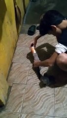 Tiny Kitten Gets Head Stuck in Can