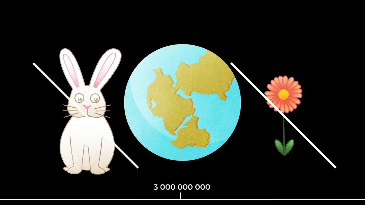 Quelle est l’histoire de la Terre ?