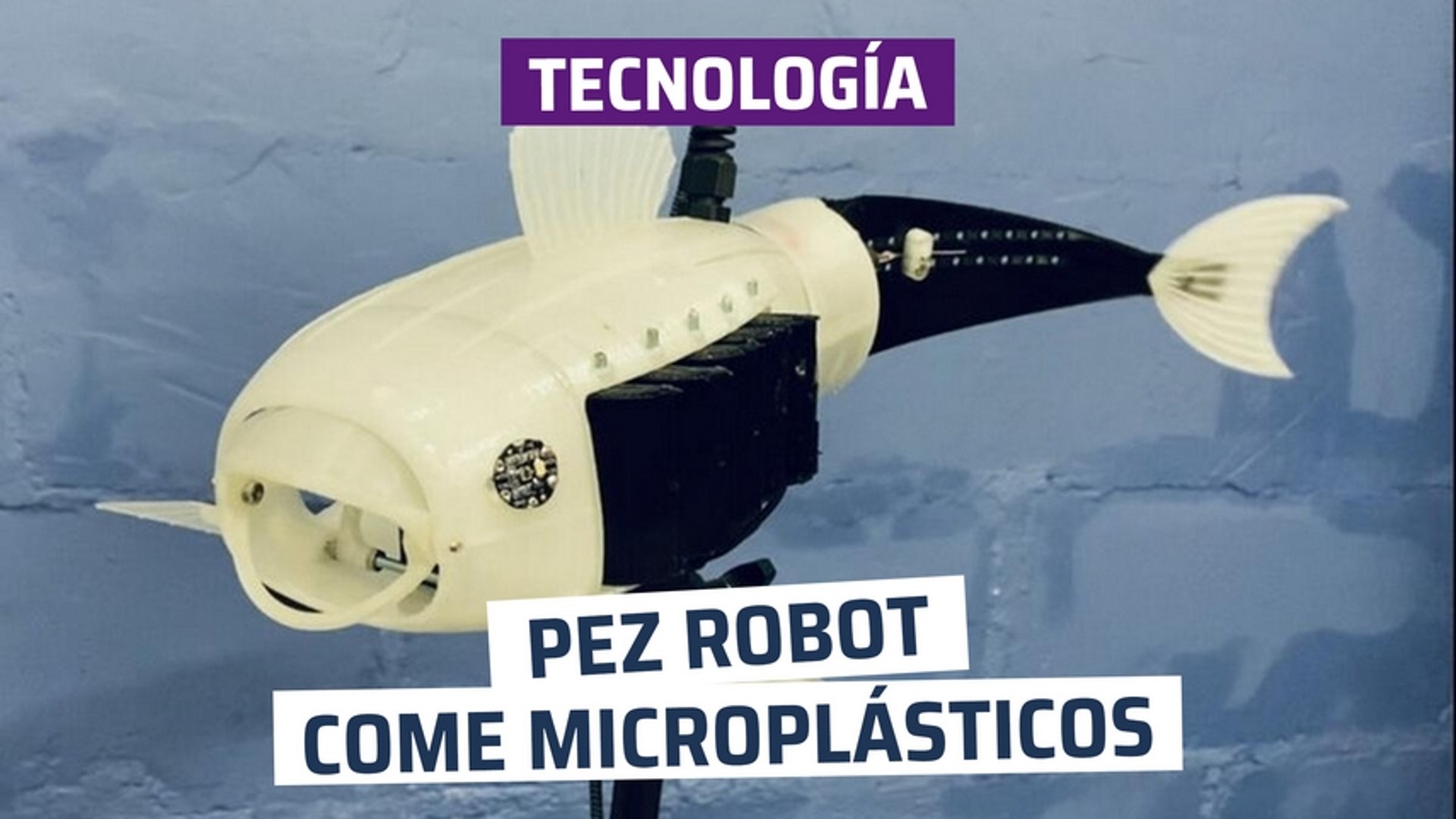 CH] Pez robot que come microplásticos - Vídeo Dailymotion