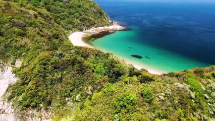 DASH Shin Cuts 13.11.22