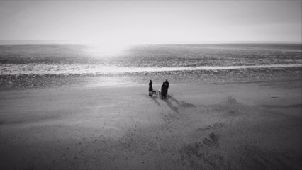 What’s on Guide Manchester 23 November: Scouting For Girls at Albert Hall