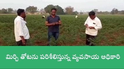 దేవరుప్పుల: యాజమాన్య పద్ధతులతో అధిక దిగుబడి